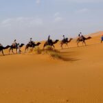 Marketing Analytics Core Mission : Steering the Lead Engine End-to-End